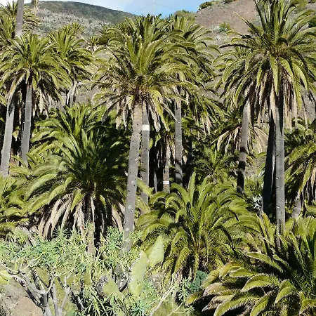 El Pirguan House, Your Oasis In La Gomera Holiday home *