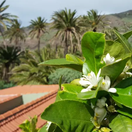 El Pirguan House, Your Oasis In La Gomera Holiday home *